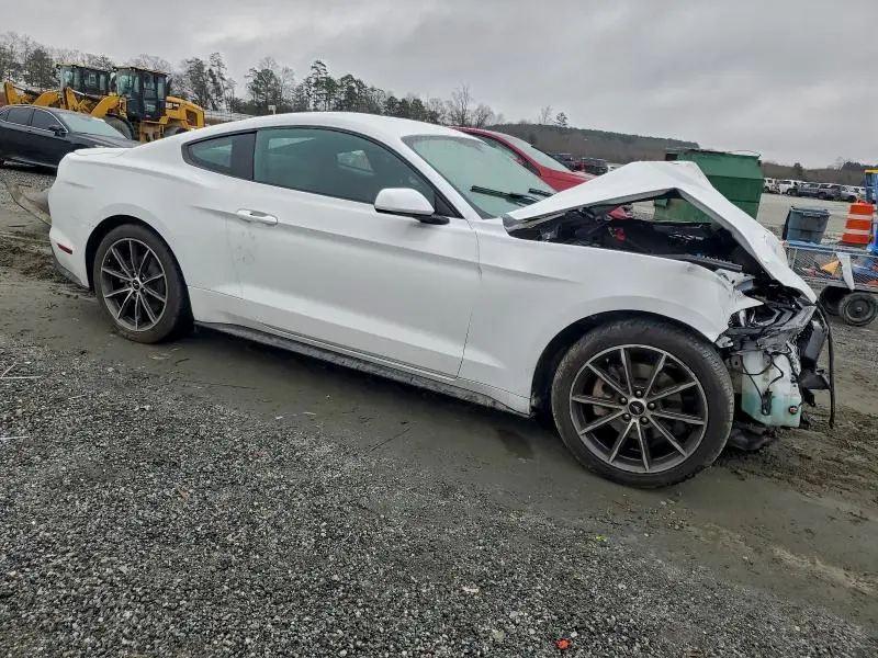 2019 FORD MUSTANG   