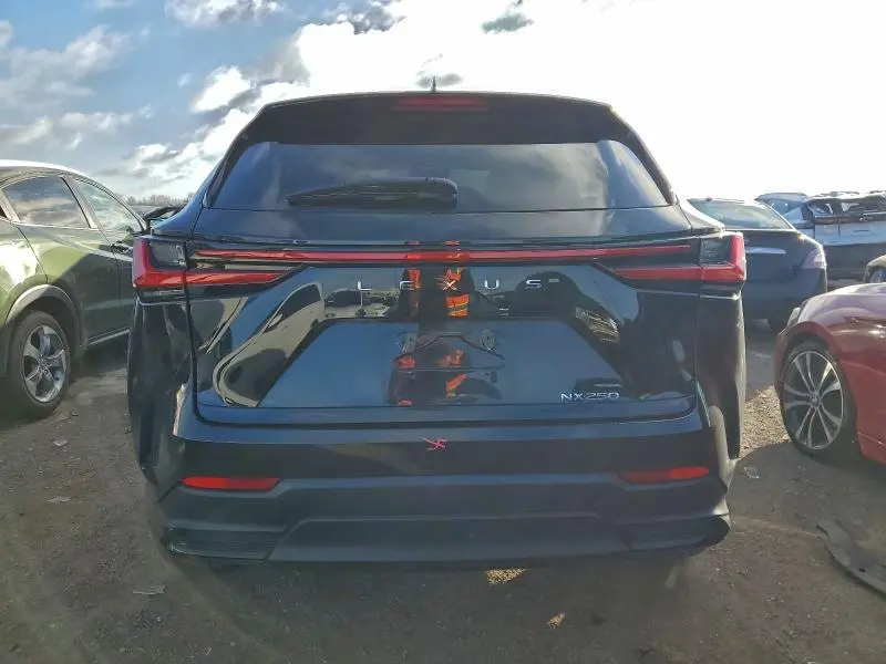 2022 LEXUS NX 250  
