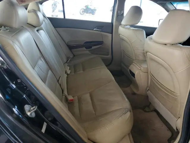 2010 HONDA ACCORD EXL  