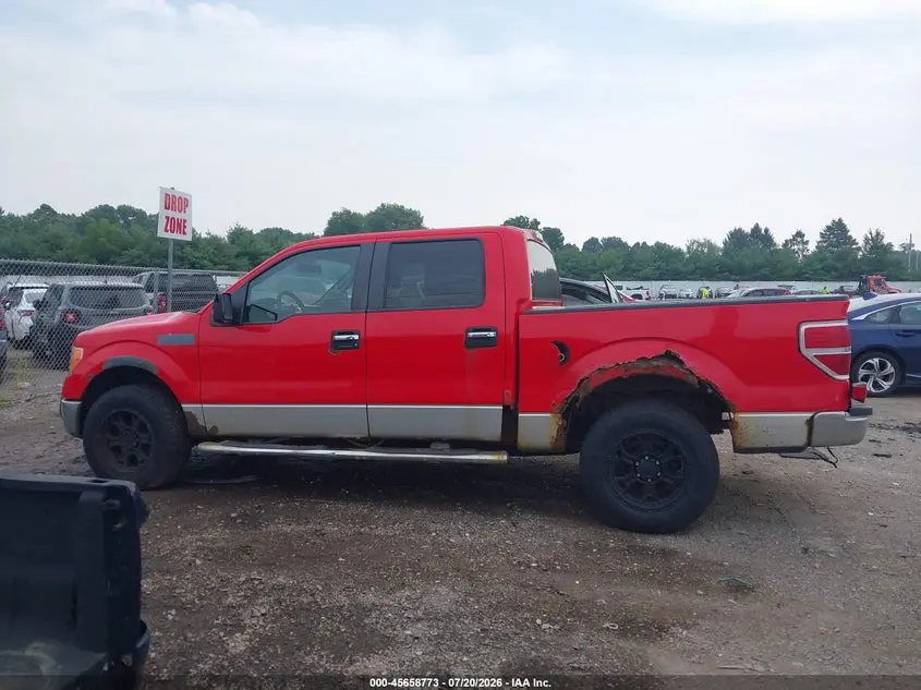 2011 FORD F-150 XLT