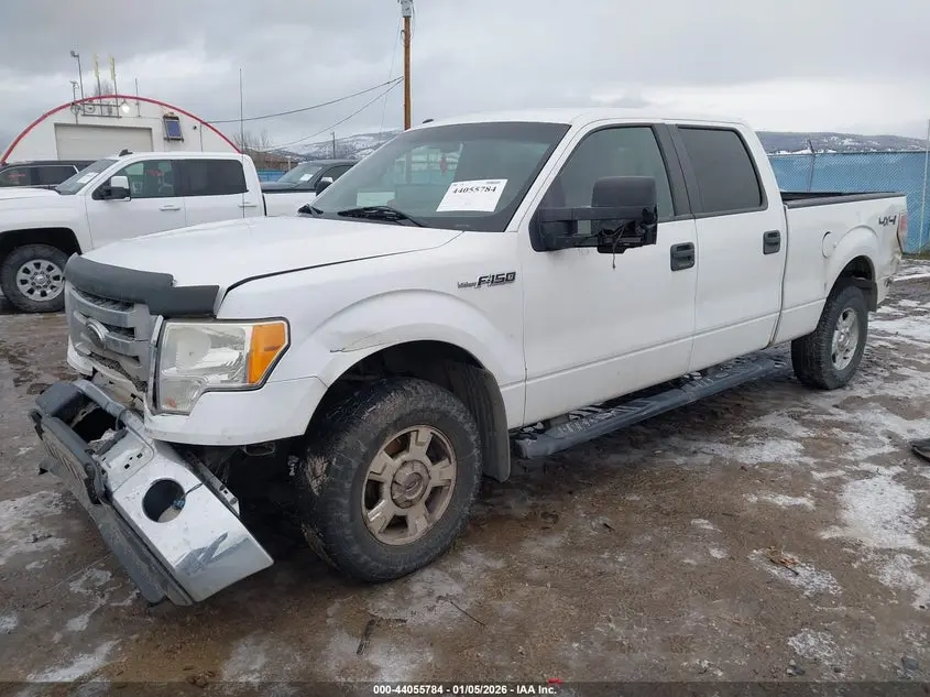 2010 FORD F-150 FX4/HARLEY-DAVIDSON/KING RANCH/LARIAT/PLATINUM/XL/XLT