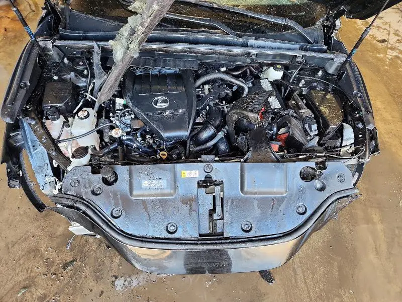 2024 LEXUS NX 350 BASE  