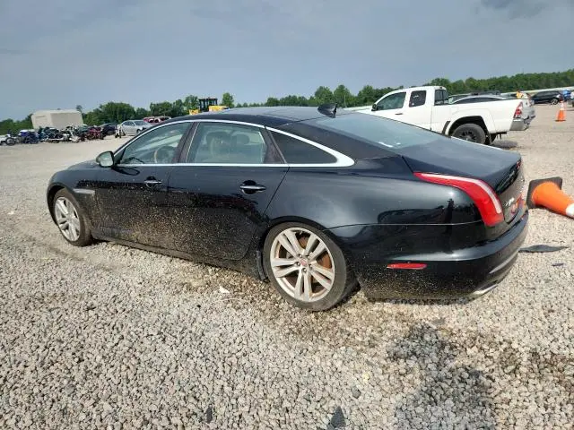 2019 JAGUAR XJL PORTFOLIO  