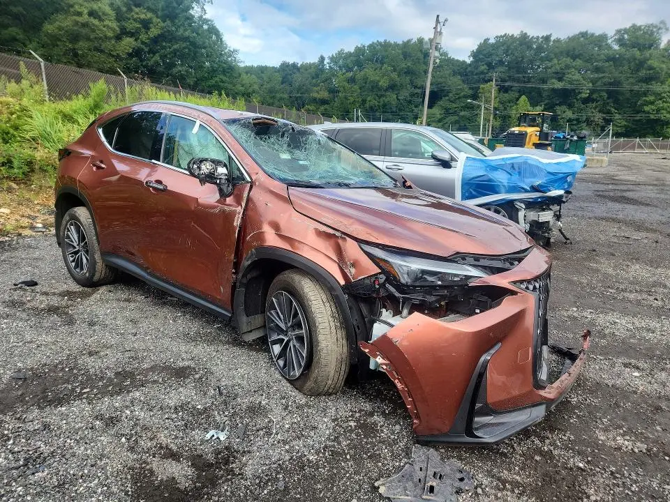 2025 LEXUS NX 350 PREMIUM  