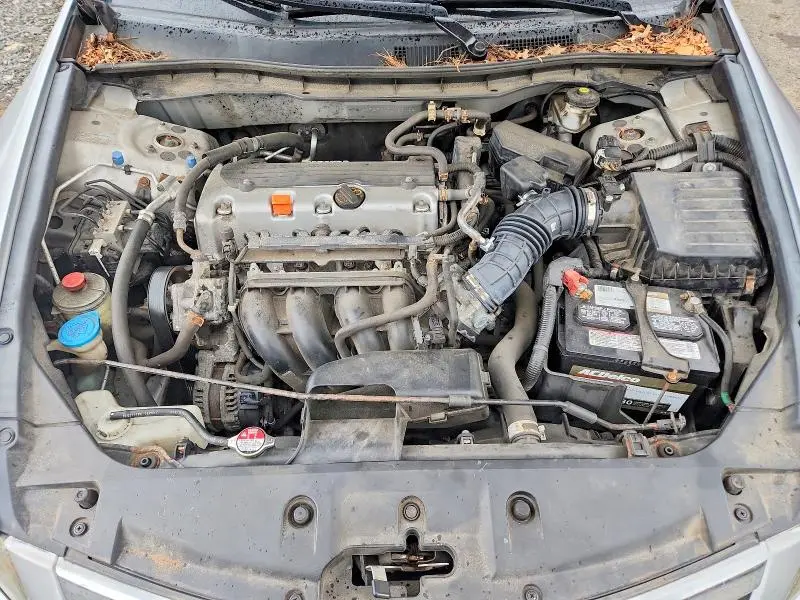 2011 HONDA ACCORD SE  