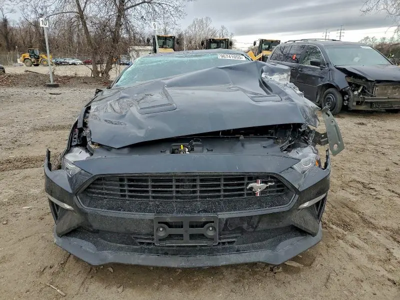 2019 FORD MUSTANG GT  