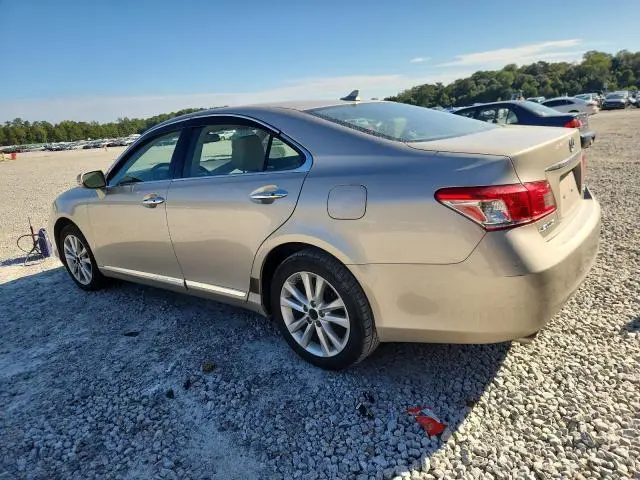 2010 LEXUS ES 350  