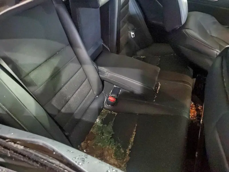 2021 LEXUS IS 350 F SPORT  