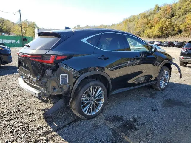 2025 LEXUS NX 350H BASE  