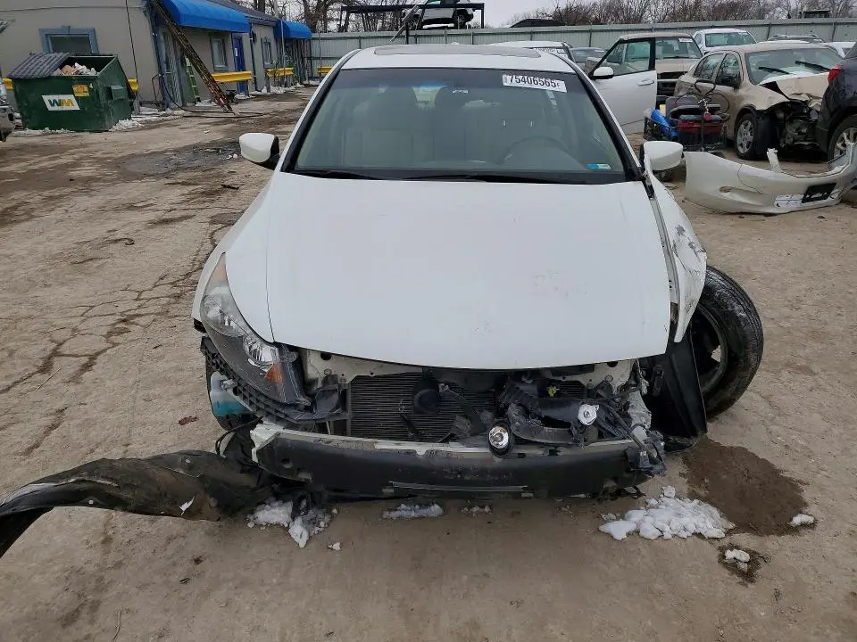 2010 HONDA ACCORD EXL  