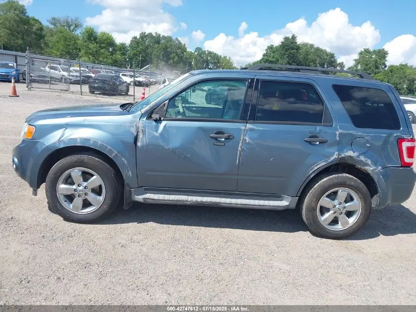 2010 FORD ESCAPE XLT