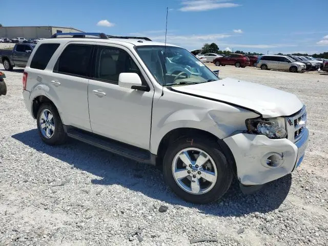2010 FORD ESCAPE LIMITED  