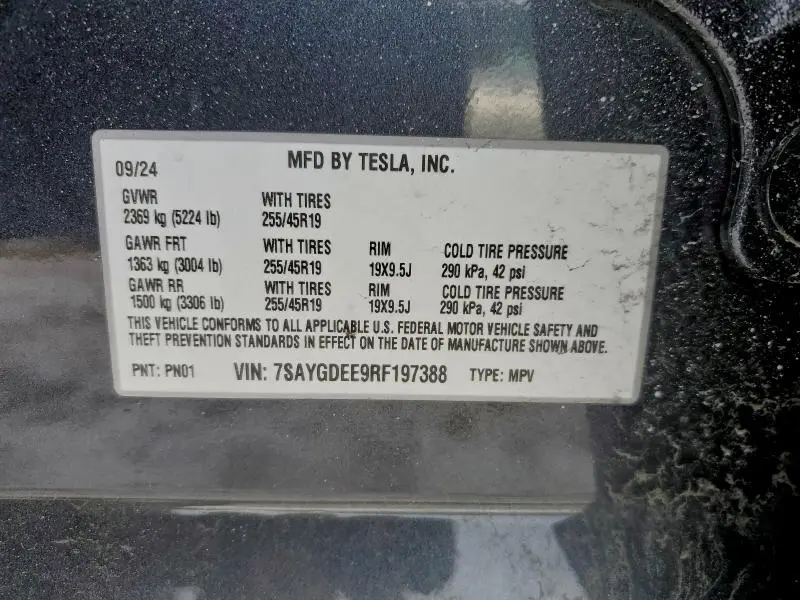 2024 TESLA MODEL Y   