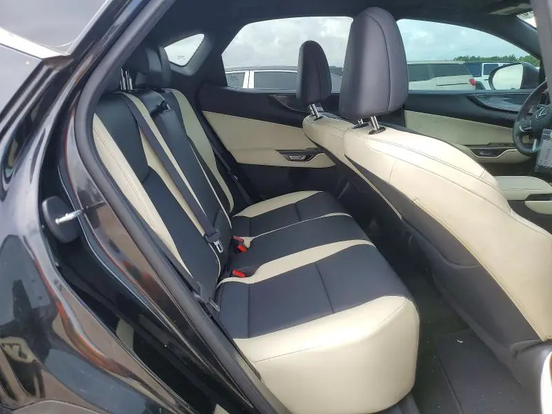2024 LEXUS NX   