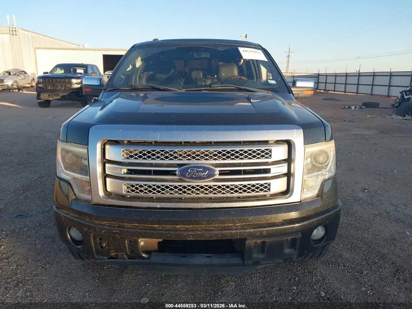 2013 FORD F-150 PLATINUM