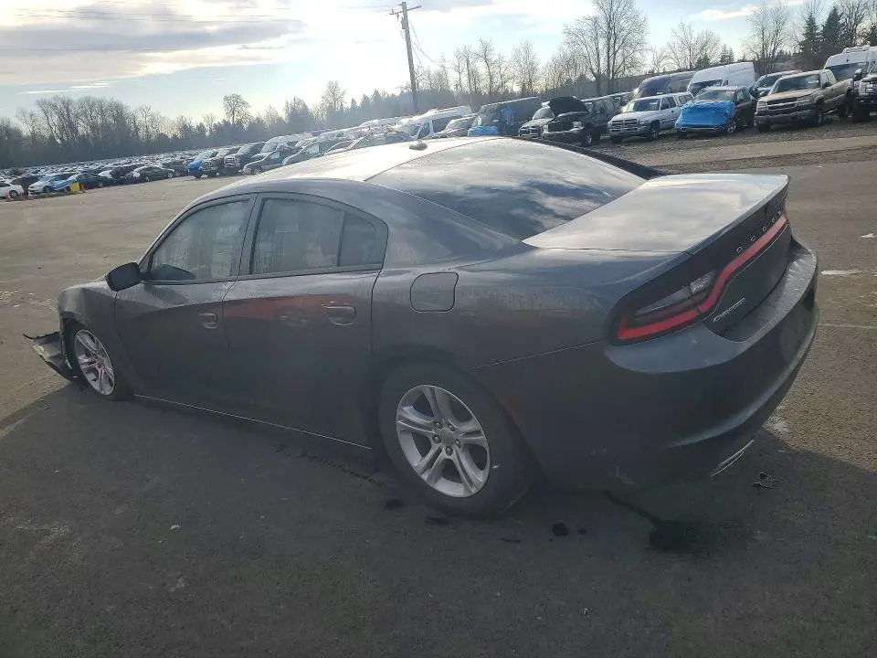 2019 DODGE CHARGER SXT  