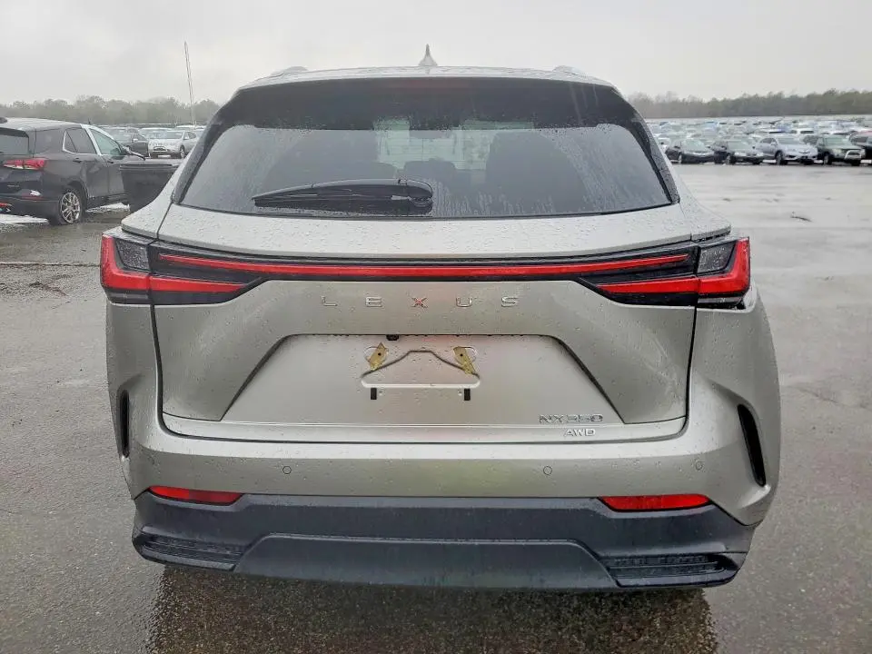 2025 LEXUS NX 350 PREMIUM  