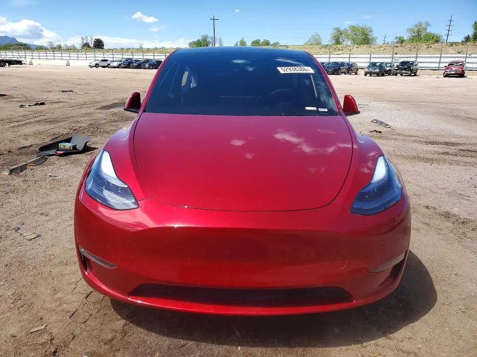 2025 TESLA MODEL Y   