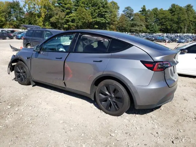 2025 TESLA MODEL Y   