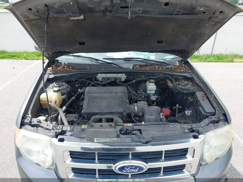 2010 FORD ESCAPE LIMITED