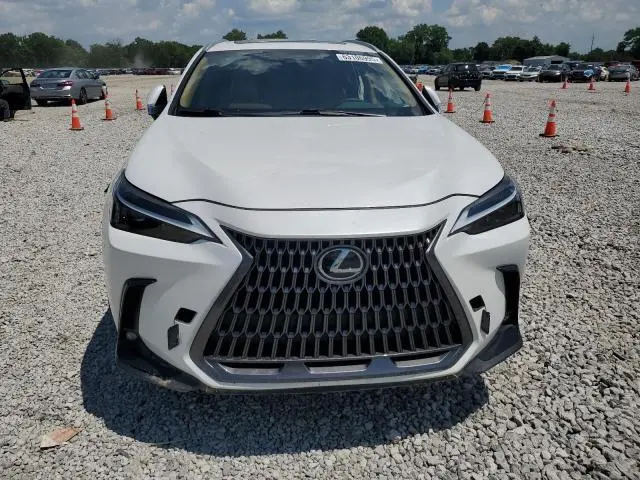2024 LEXUS NX 350 BASE  