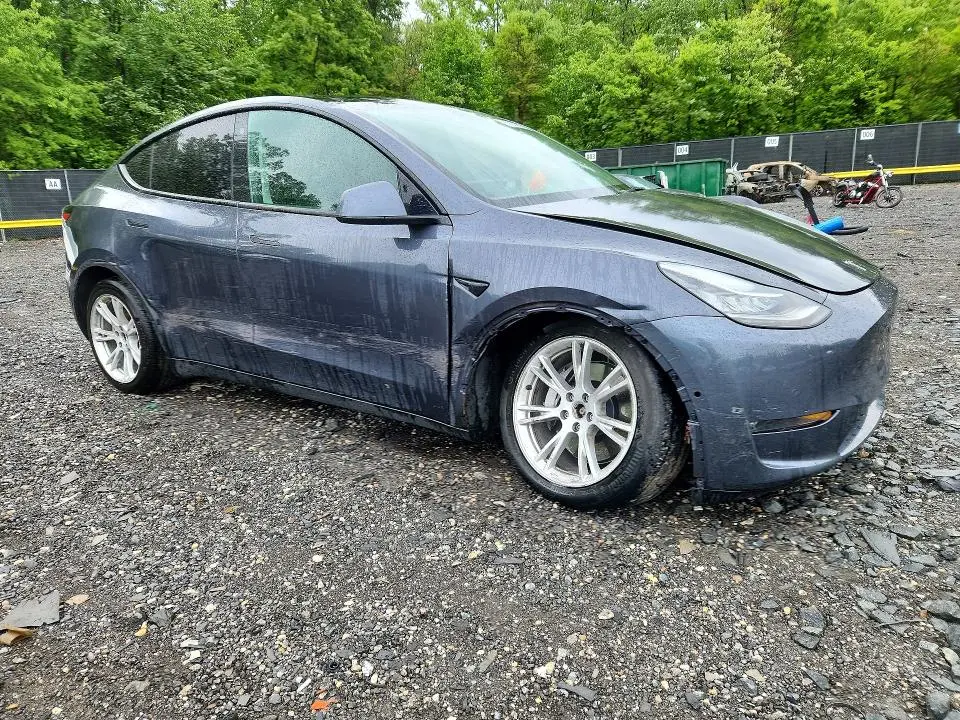 2021 TESLA MODEL Y   