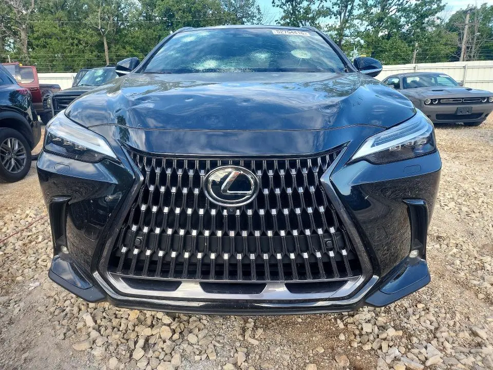 2024 LEXUS NX 350 LUXURY  