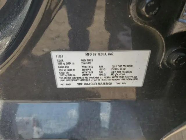2025 TESLA MODEL Y   