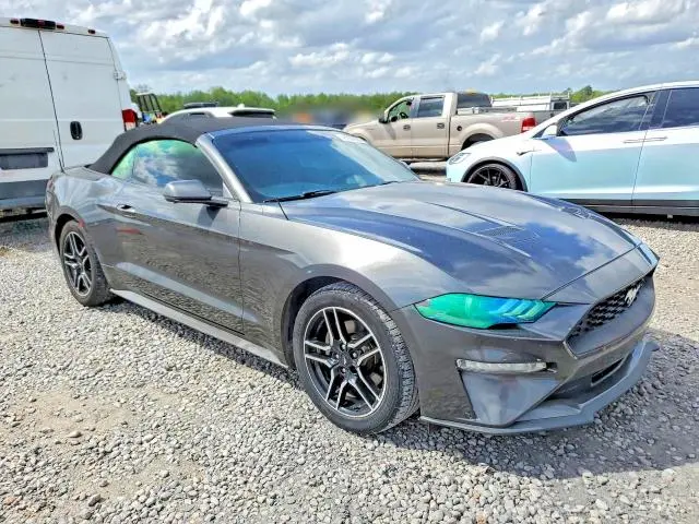 2019 FORD MUSTANG   