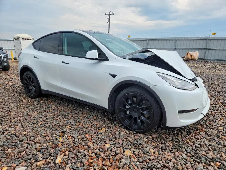 2022 TESLA MODEL Y   