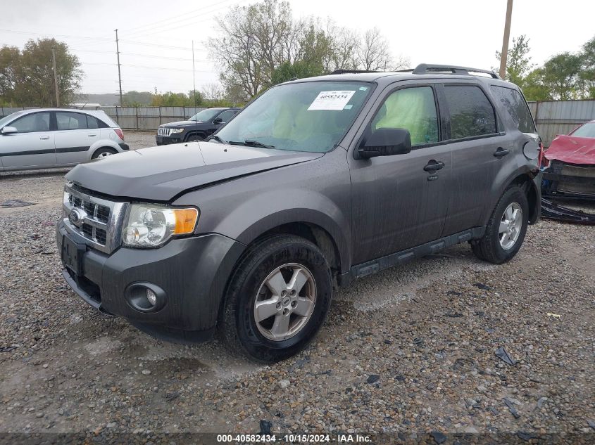 2010 FORD ESCAPE XLT