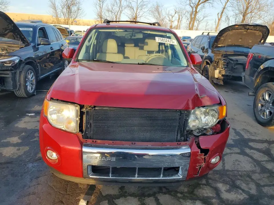 2010 FORD ESCAPE LIMITED  