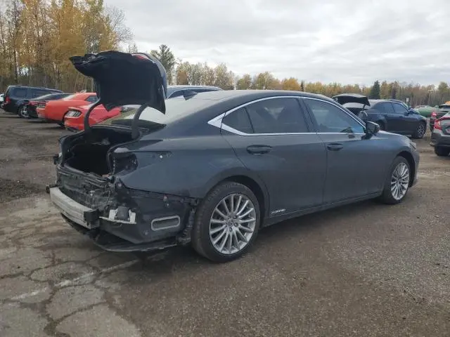 2019 LEXUS ES 300H  