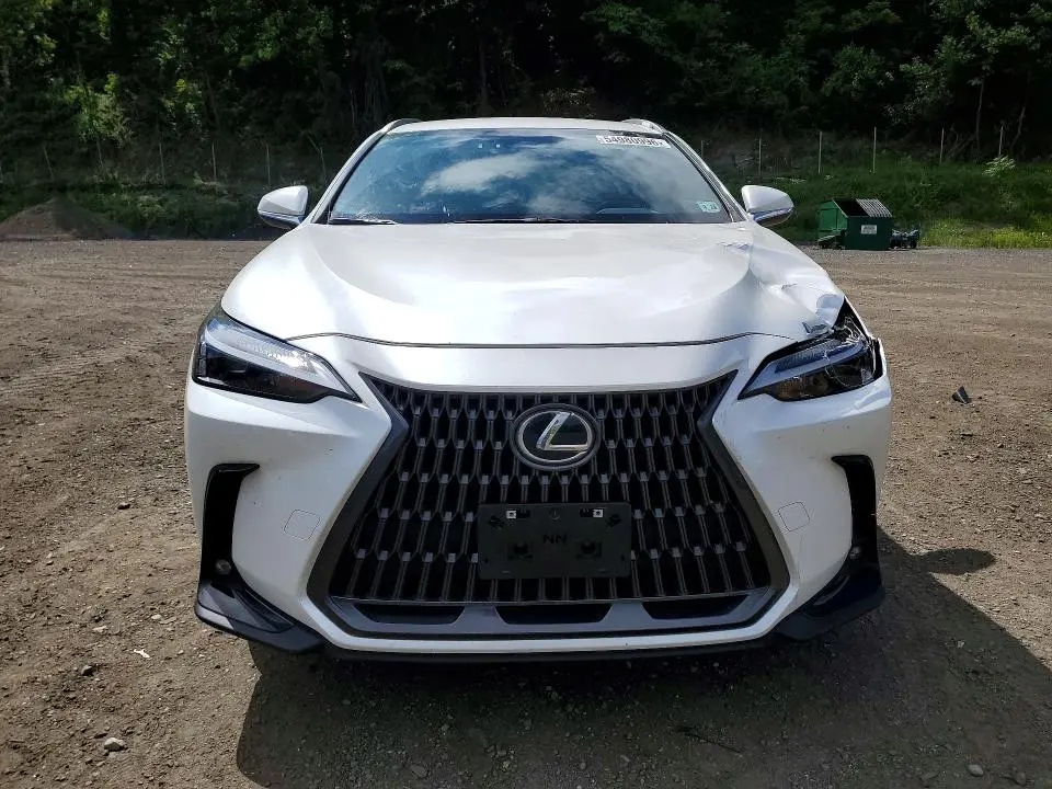 2023 LEXUS NX 250  