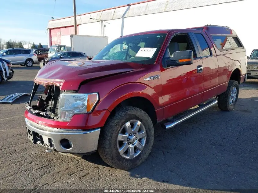 2014 FORD F-150 XLT