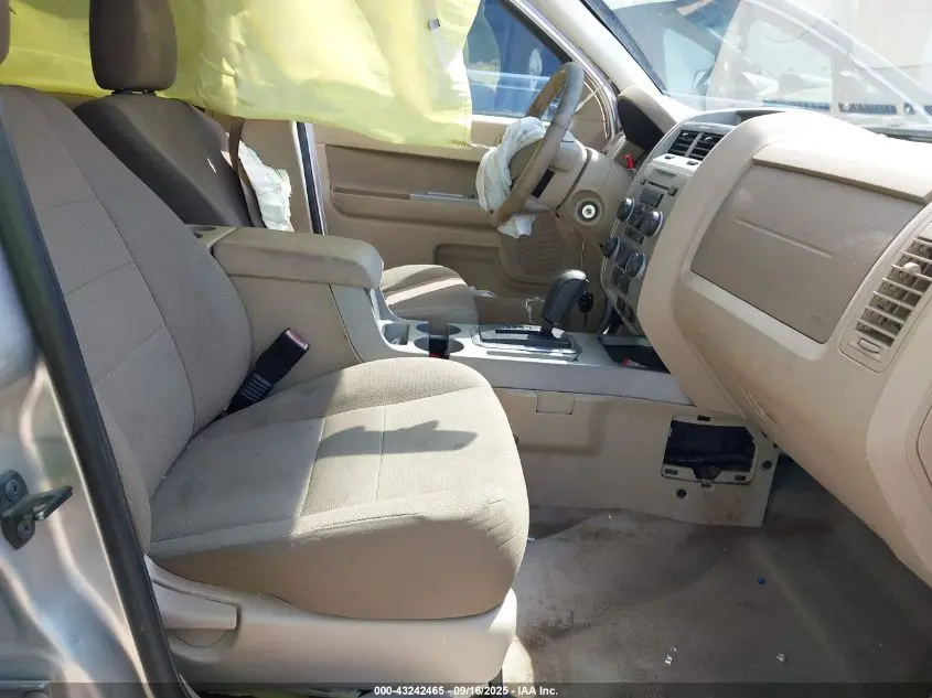 2010 FORD ESCAPE XLT