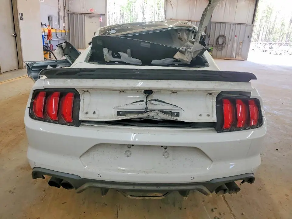 2019 FORD MUSTANG GT  