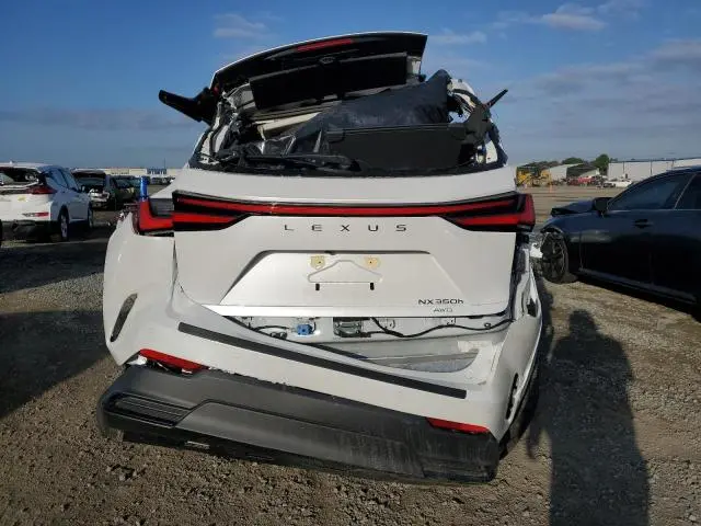 2024 LEXUS NX 350 PREMIUM  