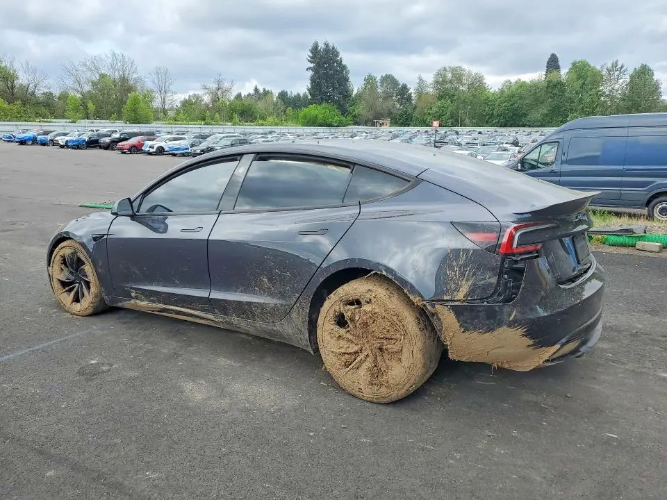 2025 TESLA MODEL 3   
