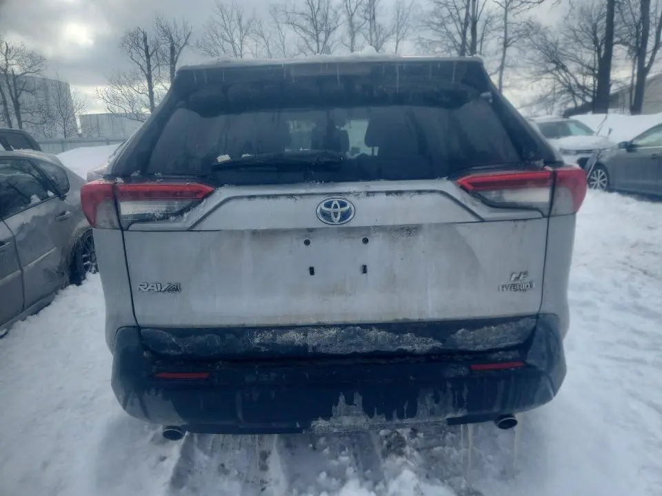 2019 TOYOTA RAV4 LE  