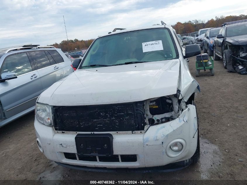 2012 FORD ESCAPE XLT