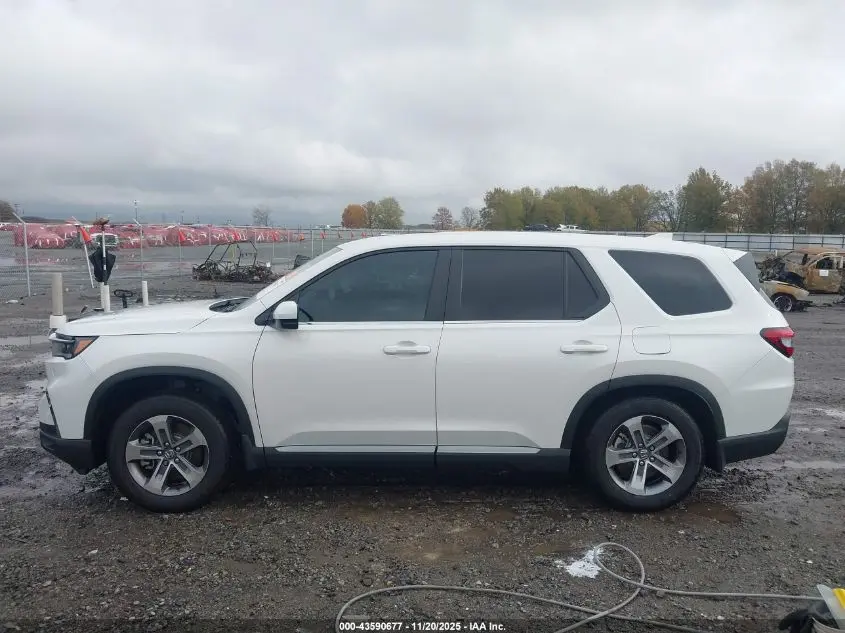 2025 HONDA PILOT EX-L