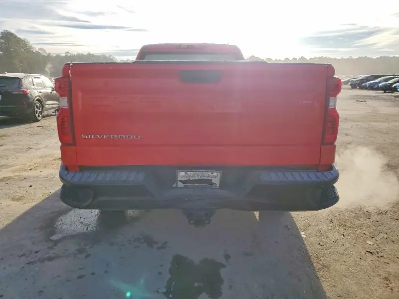 2019 CHEVROLET SILVERADO C1500  