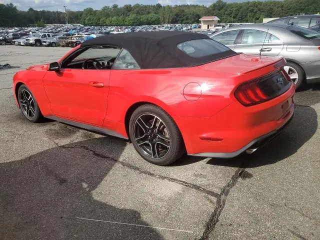 2023 FORD MUSTANG   