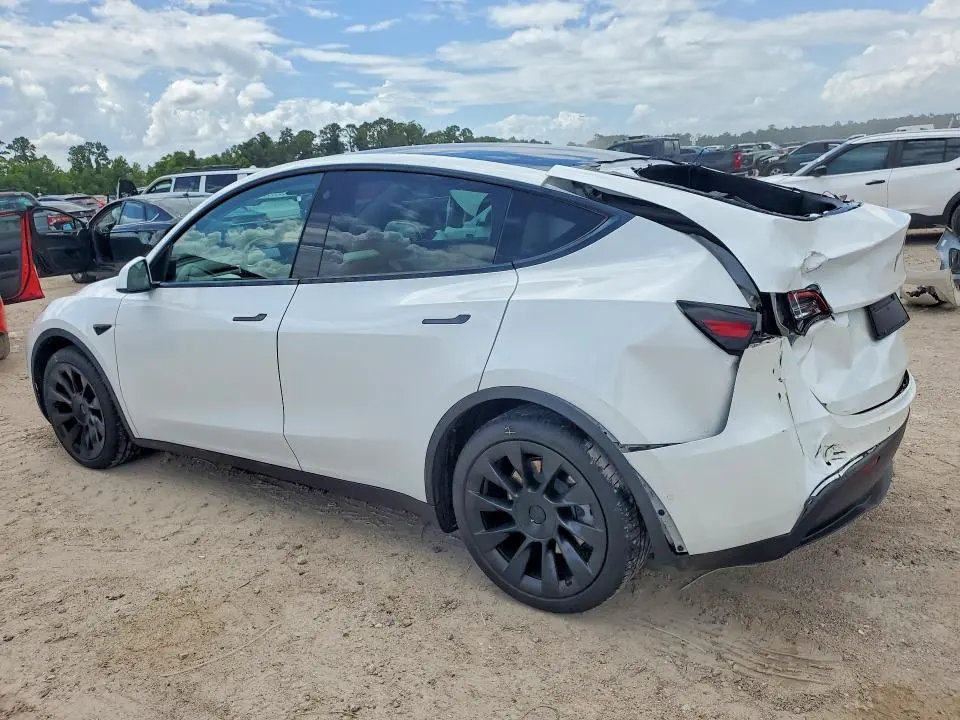 2021 TESLA MODEL Y   