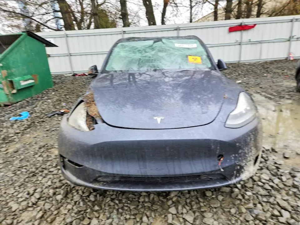 2020 TESLA MODEL Y   