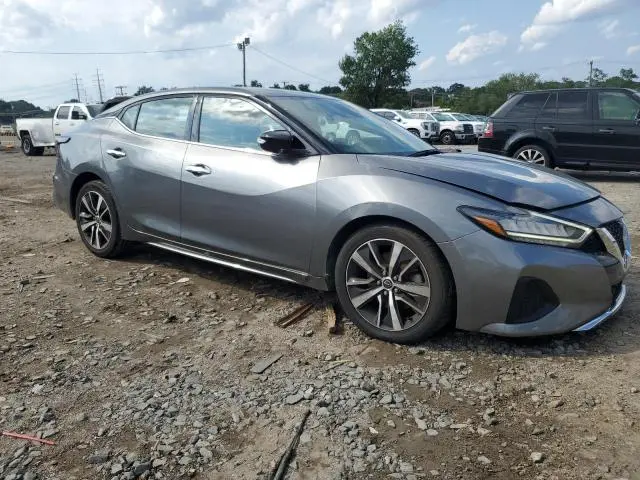 2023 NISSAN MAXIMA SV  