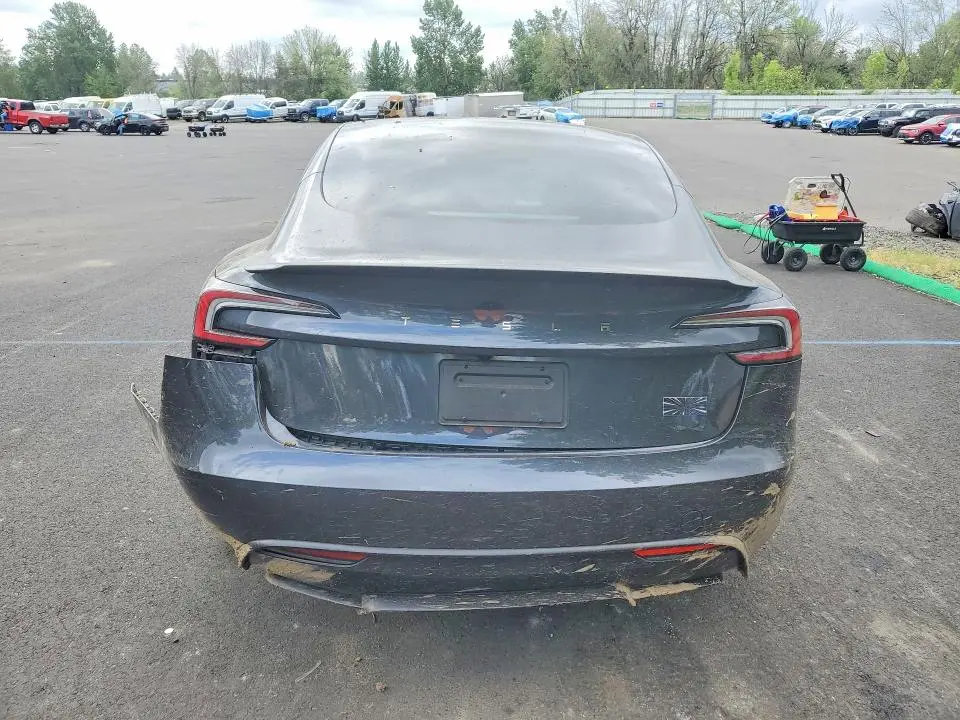 2025 TESLA MODEL 3   