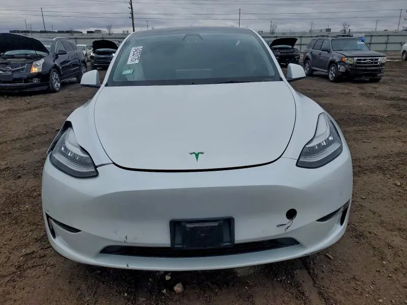 2021 TESLA MODEL Y   
