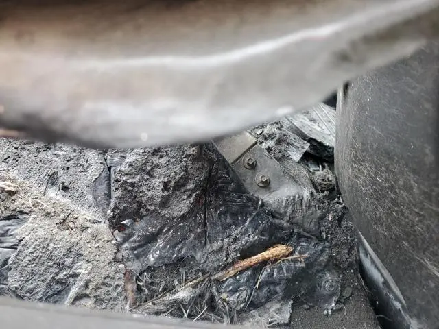 2019 CHEVROLET CORVETTE STINGRAY 1LT  